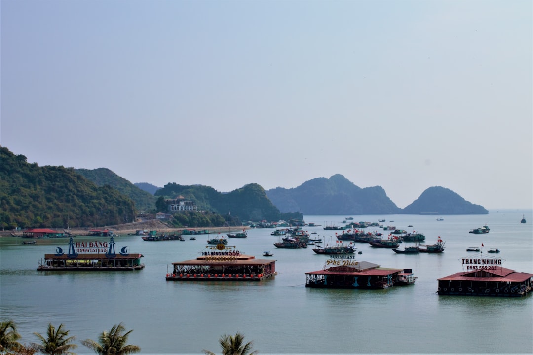 イメージ:7. まとめとおすすめの楽しみ方