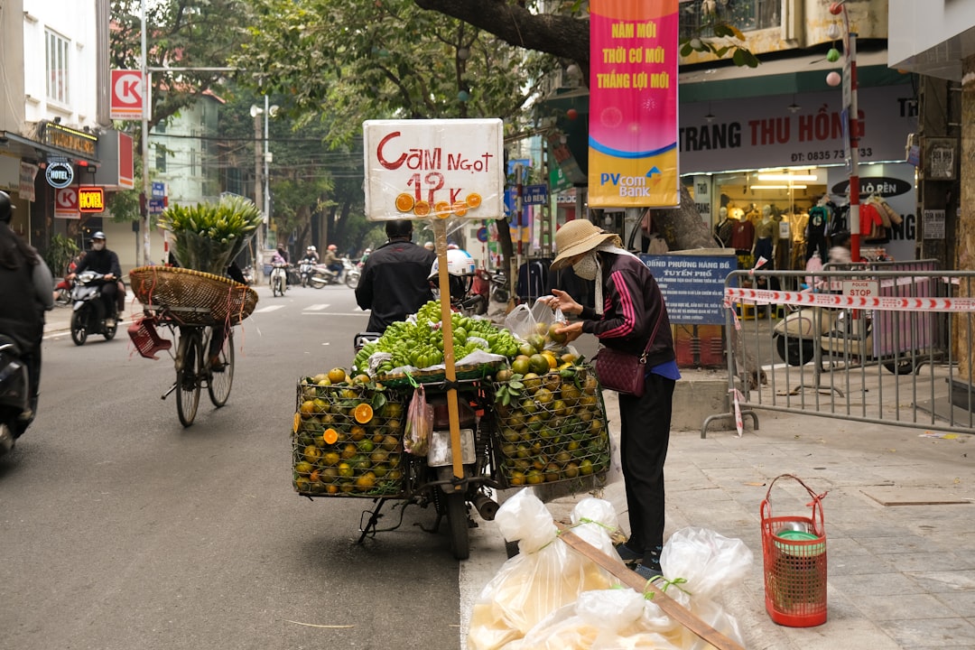 イメージ:6. ベトナム農業文化の魅力