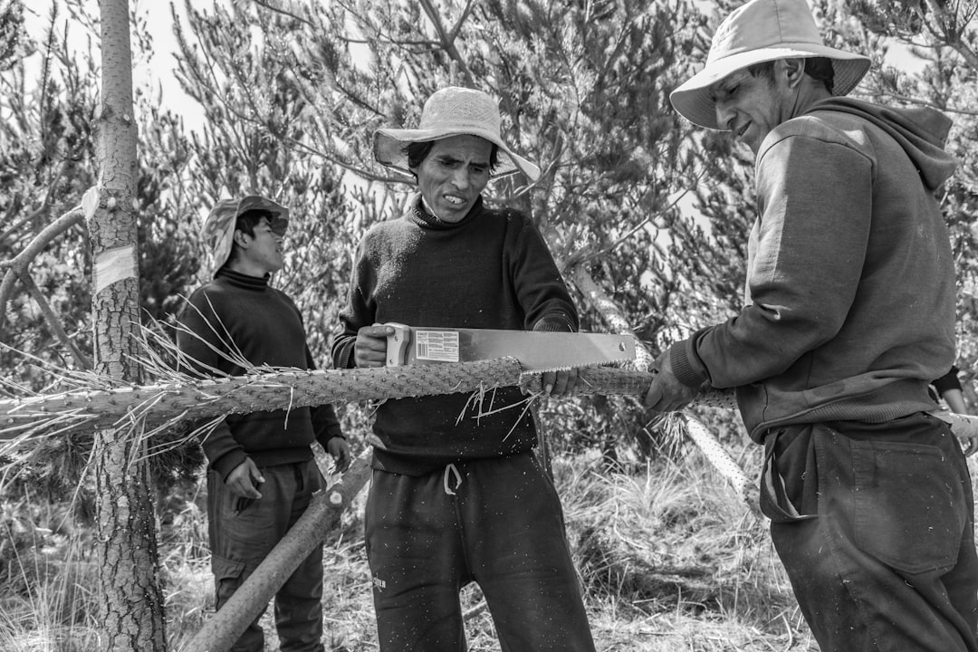 イメージ:5. チームビルディングの工夫と実例