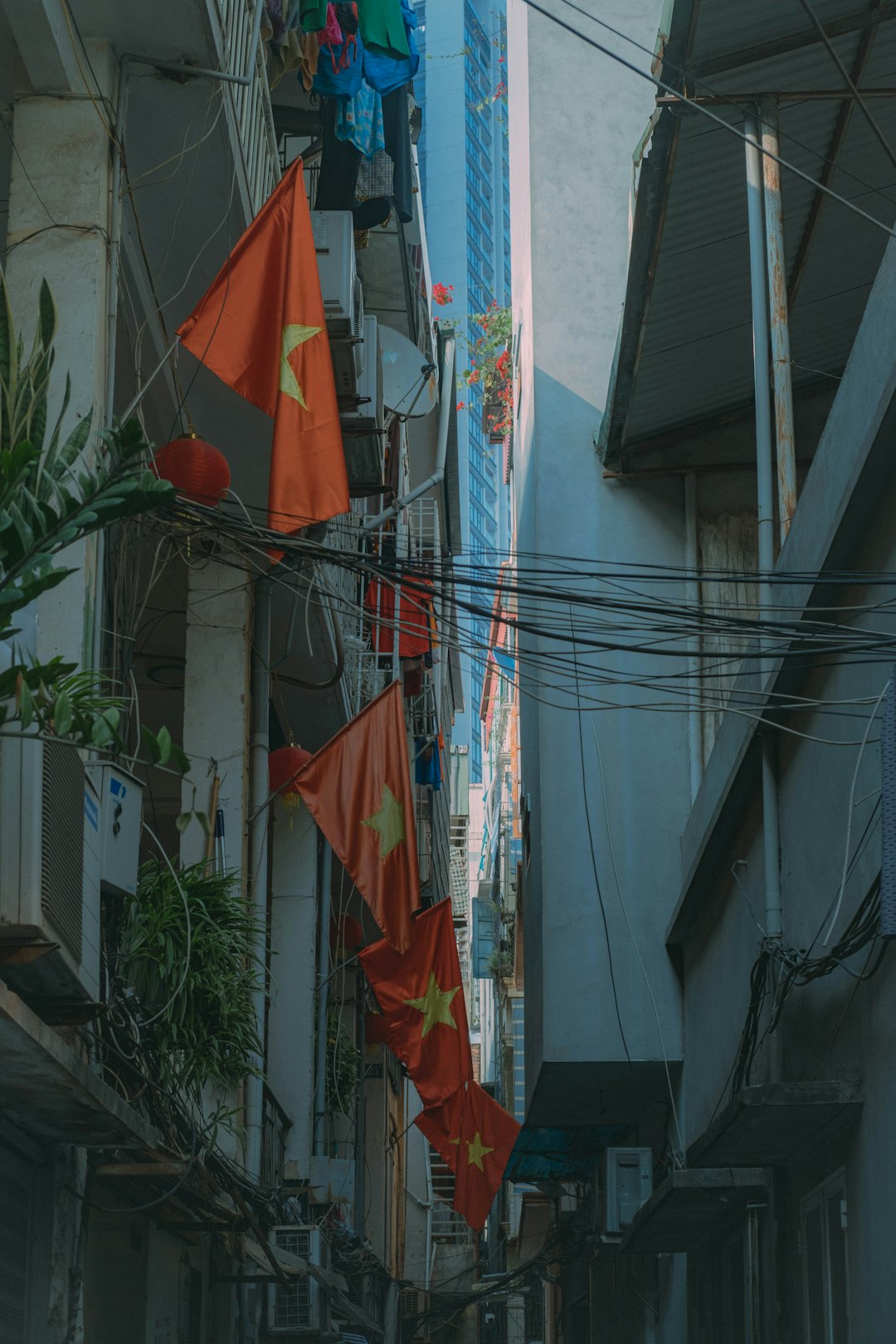 イメージ：1. 概要