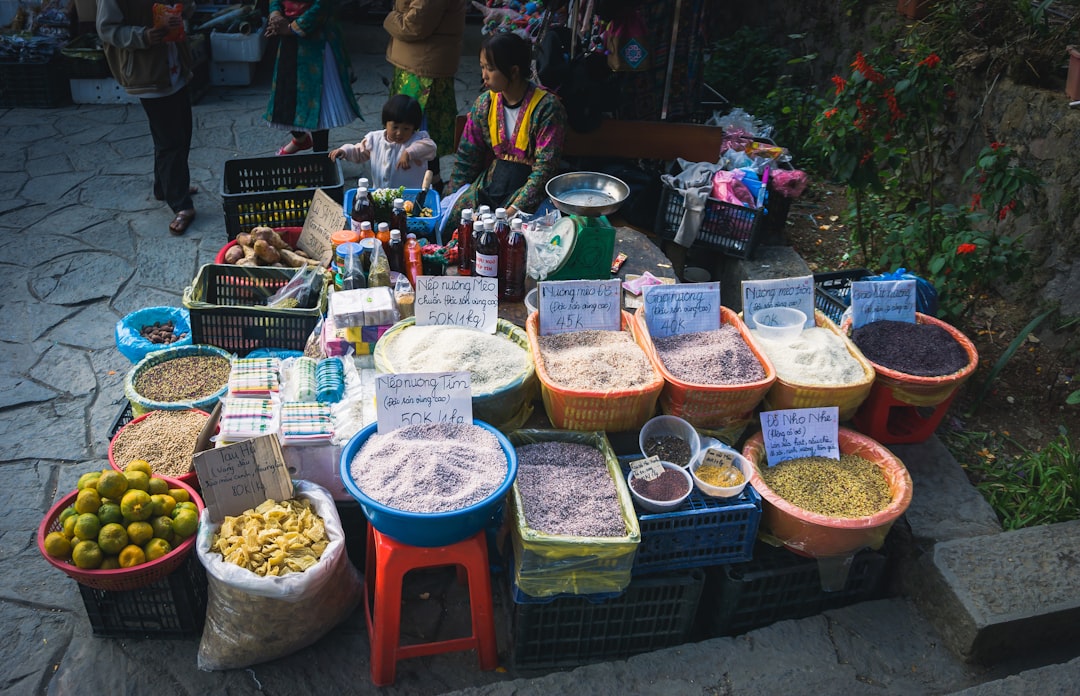 イメージ：1. 食事の時間帯と準備の様子