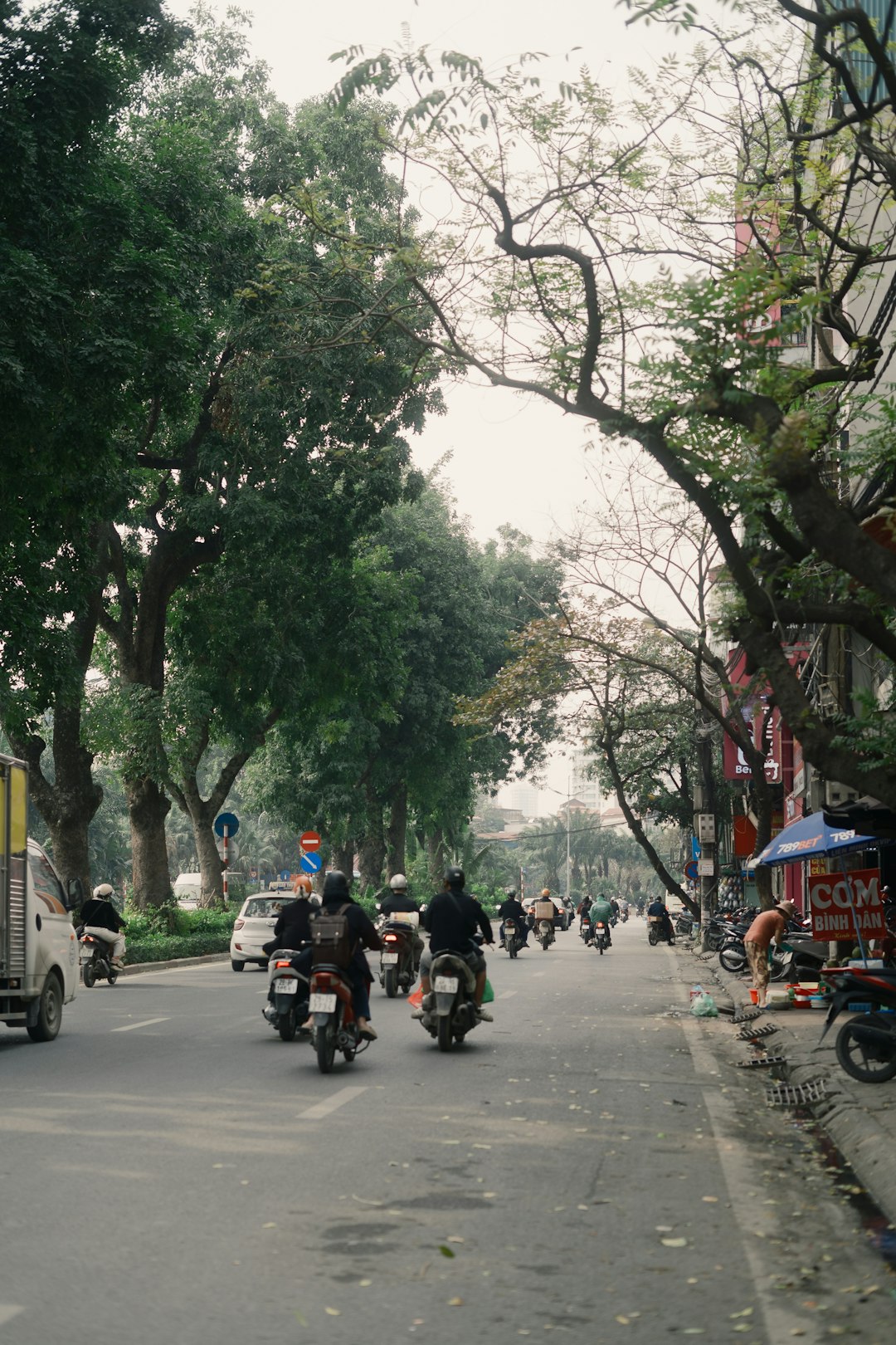 イメージ：3. 内容