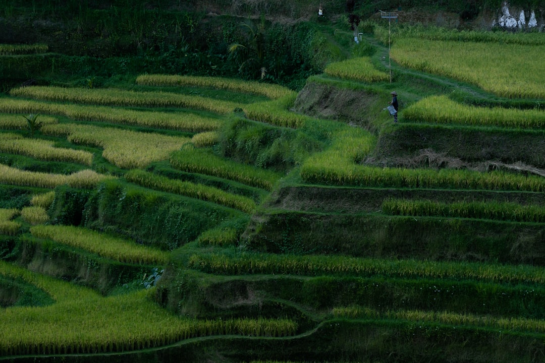 イメージ:2. モデルとなった地域(代表的な田園地帯)
