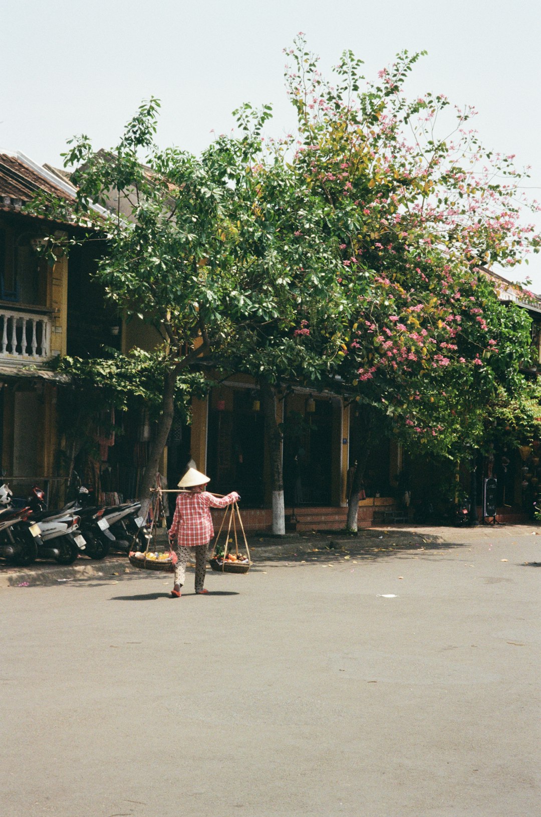 イメージ:1. 季節ごとの服装の傾向