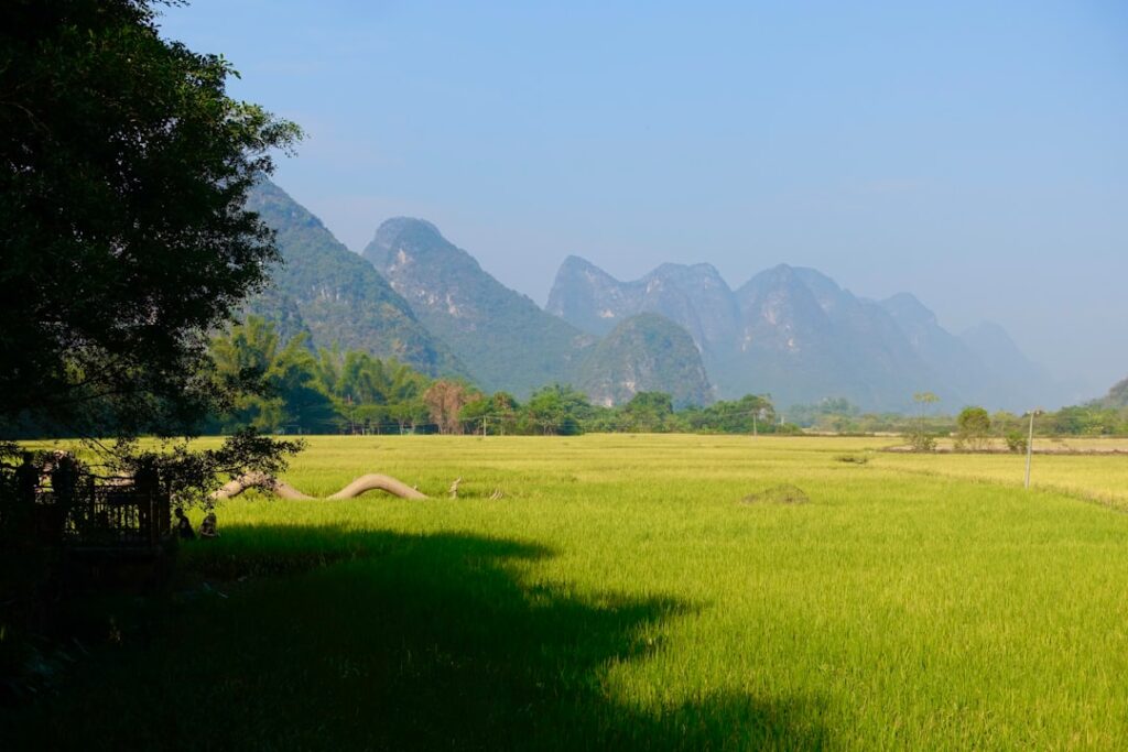 【ビジネス編 第6回】昇進意識と評価制度