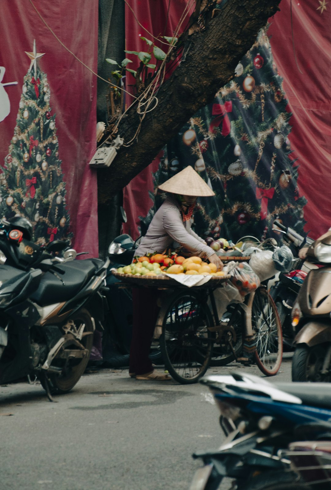 イメージ：1. 人気のペットと飼育スタイル