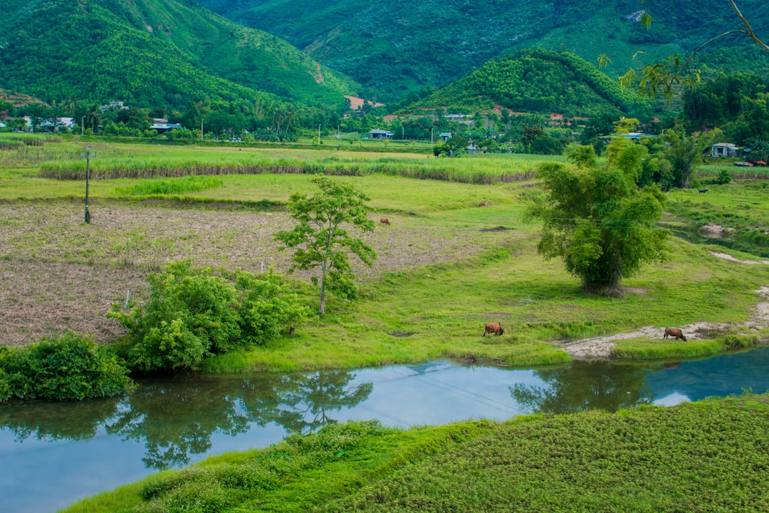 イメージ：1. 家族間の呼び方と敬語の使い方