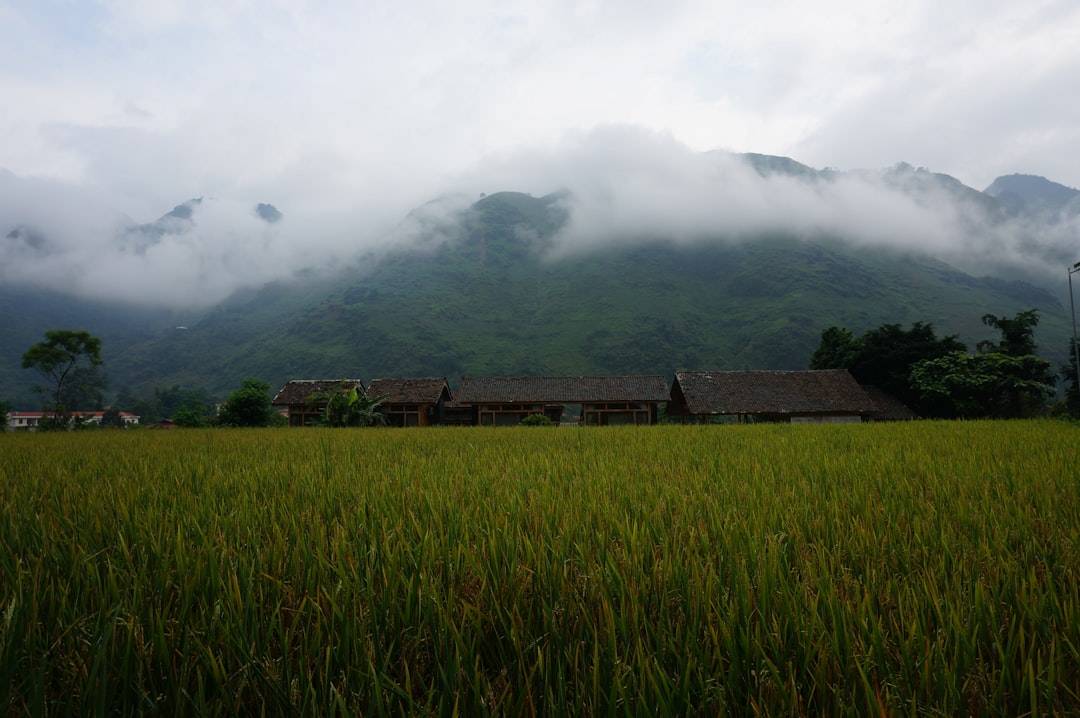 イメージ：3. ベストシーズンと気候（乾季・雨季・おすすめの時間帯）