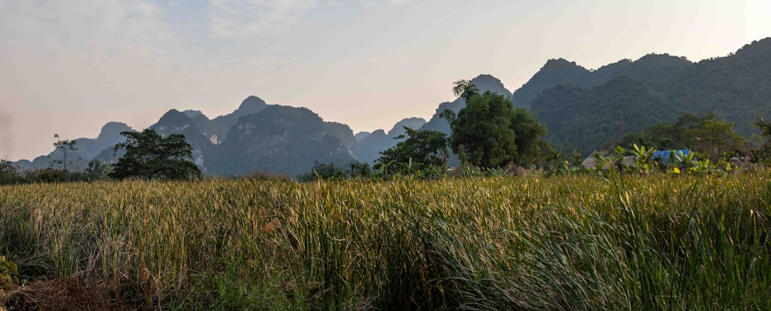 イメージ：6. 観光の裏技（服装・持ち物・混雑回避）