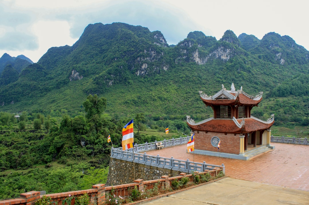 イメージ:7. まとめとおすすめの楽しみ方