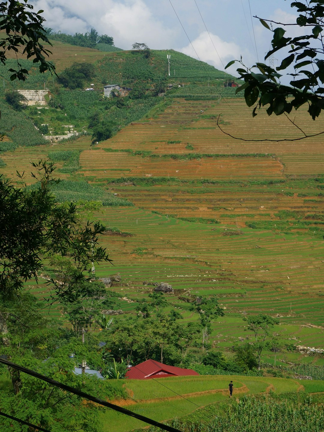 イメージ:1. 家族旅行の頻度とタイミング