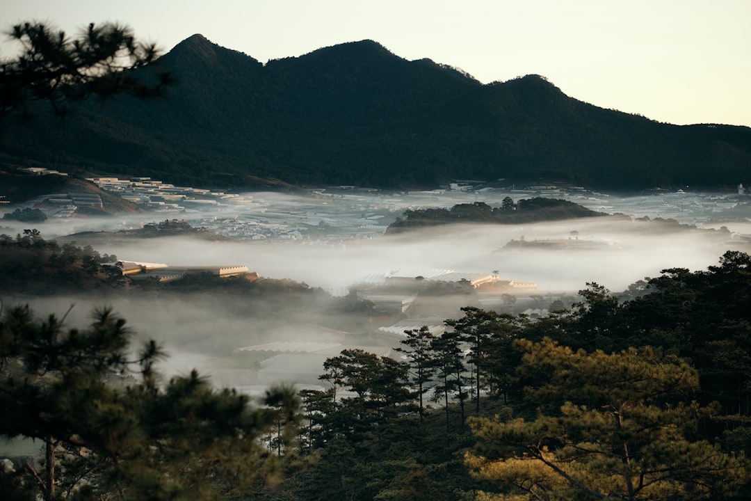 イメージ：1. バーナーヒルズとは？テーマパークと山岳リゾートの魅力